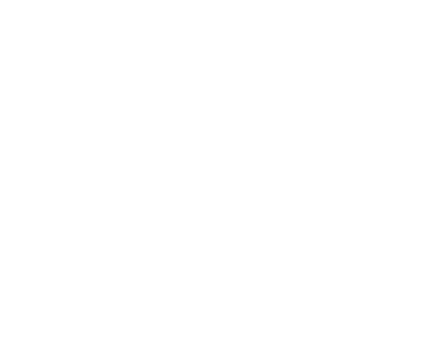 40x40g